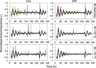 Application of time lags between light and temperature cycles for growth control based on the circadian clock of Lactuca sativa L. seedlings